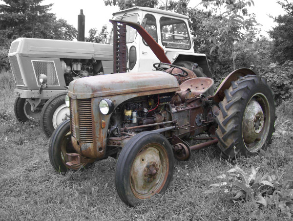 Ferguson TED Baujahr 1954